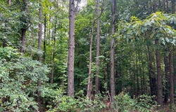3520 Halls Rd, Grenada, MS 38901