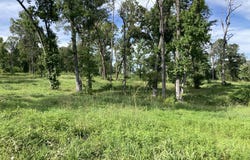 956 Nine Mile Road, Milam, TX 75975