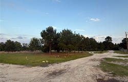 Blue Springs LOT 1-2 Road, Raeford, NC 28377