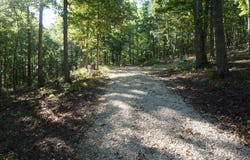 18698 Center Road, Eminence, MO 65466