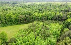 Clarke Road, New Kent, VA 23089