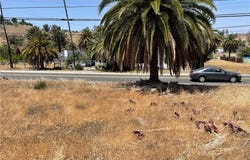 15 Riverside Drive, Lake Elsinore, CA 92530