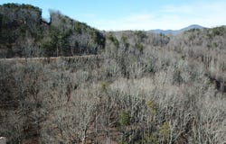 218 Otter Way, Dahlonega, GA 30533