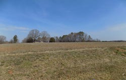 Sutton Road, Louisburg, NC 27549