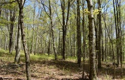 Route 120, Lock Haven, PA 17745
