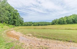 3372 Carter Rt E, Ellsinore, MO 63937
