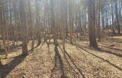 1969 Mulberry Academy Street, Franklinville, NC 27248