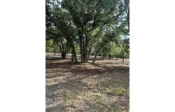 22134 NW 264th Street, Okeechobee, FL 34972