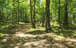 8113 Deer Ridge Ct, Baileys Harbor, WI 54202