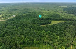 6295 CO RD 8, Florence, AL 35630