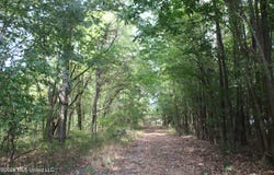 5 Star Landing Road, Nesbit, MS 38651