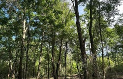 0a Clyde Lofton Road, Sumrall, MS 39482