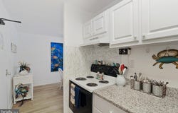 8 OLIVE AVENUE, REHOBOTH BEACH, DE 19971