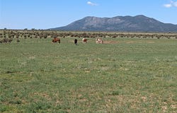 32 County Road 28, Stanley, NM 87056