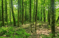 00 Kiwanis Road, Lee, NY 13440