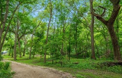 23388 GASTON Avenue, GLENWOOD, IA 51534