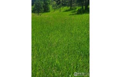 4444 Sunshine Canyon Dr, Boulder, CO 80302