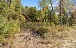 Lot 7 Peaceful  PL, Harrison, AR 72601