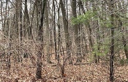 18655 Forest Beach Drive, New Buffalo, MI 49117