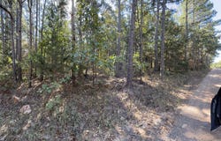 Texas Tower Road, Licking, MO 65542