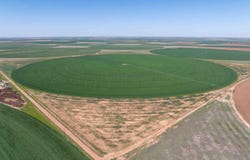 Busby Farm 516.34 Acres CR 625, Hart, TX 79027