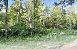 40 +/- Acres Mostetler, Harrison, MI 48625
