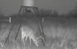 0000 FM 3102, Paducah, TX 79248