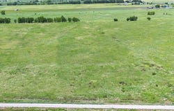 Lot 9 County Line Road, Pecan Gap, TX 75469