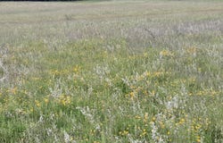 L45 Roberts Hill Rd, Coxsackie, NY 12192