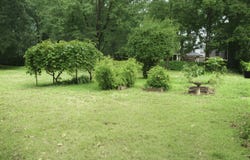 8247 GARBOR Avenue, Warren, MI 48093