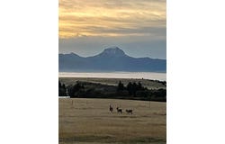 333 Shining Mountains Loop, Ennis, MT 59729