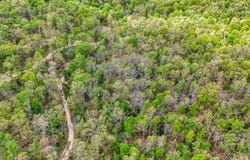 0000 Stone Ridge Rd, Huggins, MO 65484