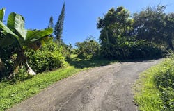 81-1081-C CAPTAIN COOK RD, Captain Cook, HI 96704
