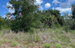 4279 E Texas Street, Hernando, FL 34442