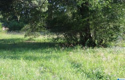 174 POPLAR SPRINGS DRIVE lot: 1,2,3, SYLVAN SPRINGS, AL 35118