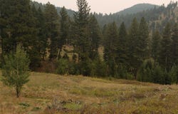 6958 Brock Creek Road, Garrison, MT 59731