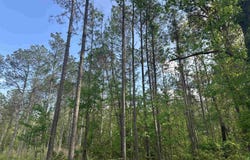 Hwy 67, Malvern, AR 72104