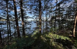 Lot #7 Cape Jellison Road, Stockton Springs, ME 04981