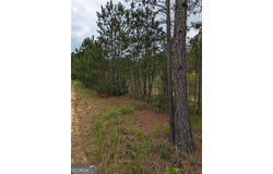 7900 Downs, Winston, GA 30187
