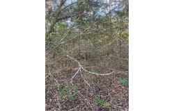 Lot 632 Hilea CT, Bastrop, TX 78692
