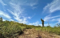 1 Highway 35, Forest, MS 39074