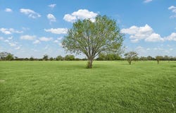 1021 Star Lane, Cat Spring, TX 78933