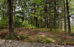 0 Beachfront Lane, Theresa, NY 13691