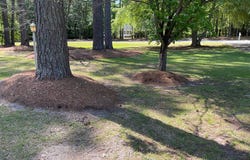 3028 Fox Run Circle, Kinston, NC 28504
