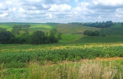 Lot 9 Donna Reed Road, Denison, IA 51442