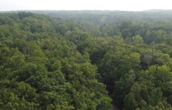 4681 Lake Road, Farwell, MI 48622