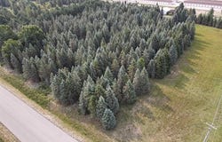 PARCEL B DANBURY ROAD, PARADISE TWP, MI 49649