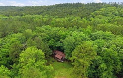 377 Brush Creek Road, Plainview, AR 72857