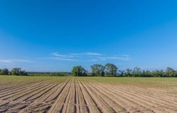 245 Howard Farm Road, Vienna, GA 31092