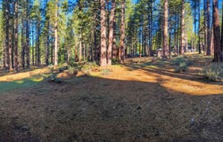 11561 Bottcher Loop, Truckee, CA 96161
